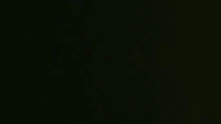 是你们最满怀期待的胡桃吗
