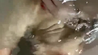今天，让我在你体内射精，直到我怀孕……筱田优